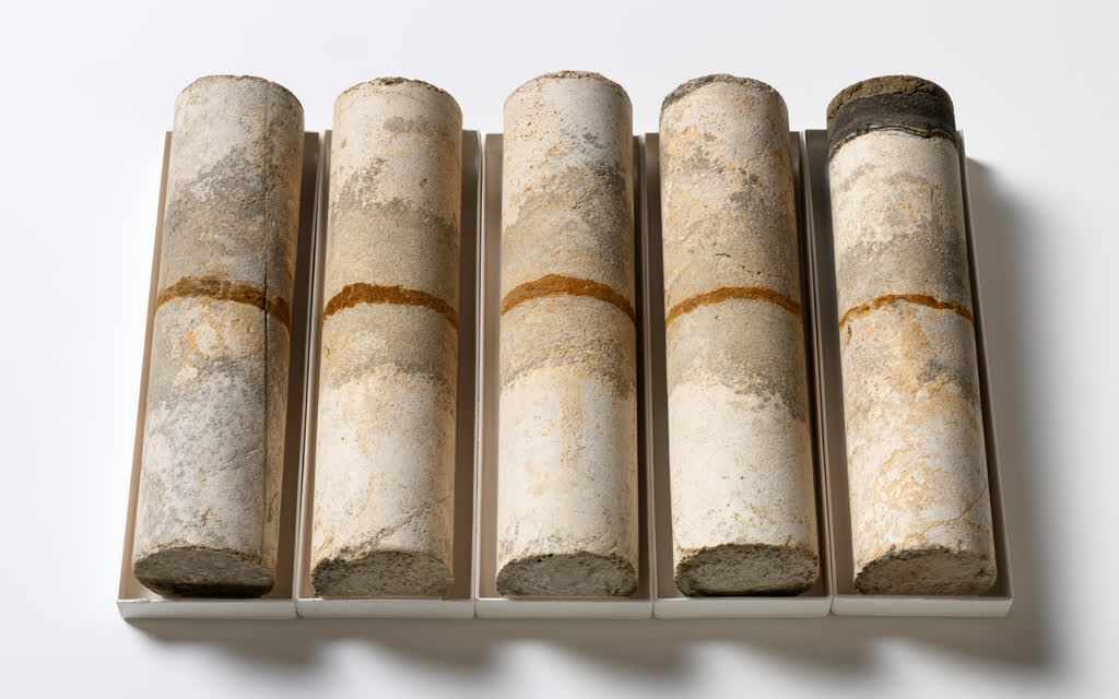 Five drill core samples laid out side by side after the dig